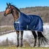 A horse wearing a navy blue turnout blanket in a snowy, outdoor setting. Anteprima dell’immagine prodotto