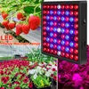 25w 81leds Pflanzenlampe Led Vollspektrum, UV Pflanzen Grow Produktbild-Vorschau 2