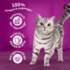 A cat is shown in front of a purple background with marketing text and icons. Náhľad obrázku produktu