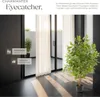 tectake® Künstlicher Ficusbaum Fida verschiedene Größen Produktbild-Vorschau 7