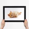 Bild 30x20 MDF-Rahmen, Wandkunst rote Katze Produktbild-Vorschau 3