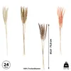24x Pampasgras 4 Farben Dekogras H65-75 cm Trockenblume Produktbild-Vorschau 2