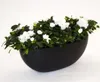 Elegant Einrichten | Pflanzkübel | Fiberglas | oval | Produktbild-Vorschau 2