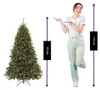 Triumph Tree Arbre de Noël artificiel Bristlecone Fir - Voir les images du produit 8
