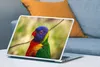MuchoWow® Laptop Aufkleber Sticker Cover Vogel - Sittich - Produktbild-Vorschau 4