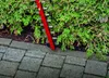 Einhell Akku-Heckenschere GP-CH 18/61 Li BL-Solo Produktbild-Vorschau 2