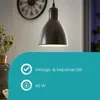 Lampadario A Sospensione Vintage Priddy 1 Acciaio Rame Anteprima dell’immagine prodotto 11