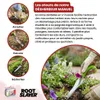 Radius Garden – Gartenschaufel – Hand-Unkrautstecher Produktbild-Vorschau 7