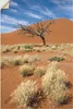 ARTland Wandbild, selbstklebend Namib-Wüste 2 Größe: 20x30 Produktbild-Vorschau 1