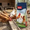 PANTO LM Legemehl im Sack 25kg - Legehennenfutter Produktbild-Vorschau 3