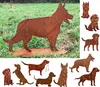 Edelroest hond, schapendoor, staand, 80x57 cm, op platte Productafbeelding-voorbeeld 4