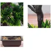 Bonsai,bonsai baum,Sonstige Partydekorationen,34cm, Produktbild-Vorschau 6
