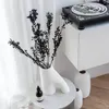 Ruscus conservé - Fleurs séchées de fragon - 1 à 5 tiges Voir les images du produit 4
