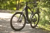 ADORE E-Mountainbike 27,5" Alu MTB Pedelec GX-650 Produktbild-Vorschau 4