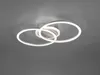Reality LED Deckenleuchte VENIDA titanfarbig, Acryl weiß Produktbild-Vorschau 6