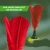 Indiaca Toernooi - Peteca Toernooi - Indiaca voor profs Productafbeelding-voorbeeld 5