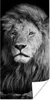 MuchoWow® Poster Wildlife - Löwe - Schwarz - Weiß 60x120 cm Produktbild-Vorschau 1