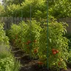 KADAX Blumenstütze aus Stahl "Trang", Pflanzen-Rankstab, Produktbild-Vorschau 4