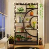 A modern geometric bookshelf filled with plants and decorative items, illuminated by string lights. Voir les images du produit