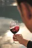 Riedel Performance Pinot Noir Rotweinglas 2er Set Produktbild-Vorschau 14