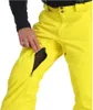 Spyder Dare Mens Pant Herren Skihose 38SA125314 AYW : XL Produktbild-Vorschau 10