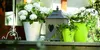 Prosperplast Blumentopf Blumenkübel D 40 cm rund Produktbild-Vorschau 4