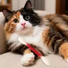 12 Stück Wattestäbchen,Katzenspielzeug mit Produktbild-Vorschau 4