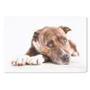 MuchoWow® Mauspad Mousepad Liegender Hund Fotodruck 27x18 Produktbild-Vorschau 1