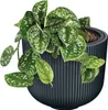 MILLY Blumentopf Produktbild-Vorschau 6