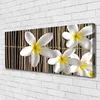 Tulup Leinwand-Bilder 125x50 Wandbild Canvas Kunstdruck Produktbild-Vorschau 2