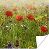 MuchoWow® Poster Frühling - Blumen - Rot - Mohn - Gras - Produktbild-Vorschau 1