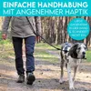 HUND IST KÖNIG 3-Fach verstellbare Hundeleine 2,3 m für Produktbild-Vorschau 2