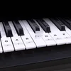 Piano Stickers - Keyboard Stickers - Eenvoudig Muzieknoten Productafbeelding-voorbeeld 2