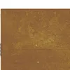 vidaXL Bramka ogrodowa 85x75 cm stal corten Podgląd zdjęcia produktu 7