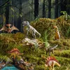 Mideer Zestaw kolekcjonerski dinozaurów 24 szt. Podgląd zdjęcia produktu 2