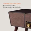 auna Belle Epoque 1912, retro gramofon, CD, BT, USB, DAB + Náhled obrázku produktu 7