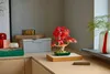 LEGO Botanicals Japanse rode esdoorn bonsai 10348 Productafbeelding-voorbeeld 17