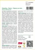 SAFLAX - Darjeeling - Banan - 5 Nasiona - Musa sikkimensis Podgląd zdjęcia produktu 3