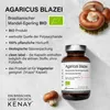 Integratori alimentari Kenay Agaricus Blazei Fungo Anteprima dell’immagine prodotto 4