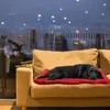 Waterdicht, opvouwbaar hondenbed, antislip hondenmat, Productafbeelding-voorbeeld 6