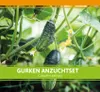 Anzuchtset Gurken | Anzuchtsets für Werbezwecke von FLORTUS Produktbild-Vorschau 2