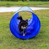 lionto Outdoor Tunnel für Hunde, 200x40 cm, faltbar, Produktbild-Vorschau 2