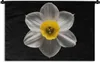 MuchoWow® Wandteppich Wandbehang Eine weiße Narzissenblüte Produktbild-Vorschau 1