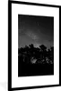 MuchoWow® Gerahmtes Poster Sternenhimmel - Wald - Himmel - Produktbild-Vorschau 1
