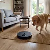 Hundespielzeug mit Krallenfeile Golden Retriever nähert sich im Raum Produktbild-Vorschau