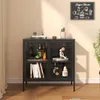 Vitrinen-Sideboard 'Borshavisa' Stahl 2-türig Klarglas 80 x Produktbild-Vorschau 2