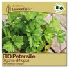 Samenliebe  Petersilie Samen | Gigante di Napoli - Produktbild-Vorschau 1