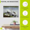 ARTland Poster Schwäne und ihre Küken Größe: 60x45 cm Produktbild-Vorschau 2