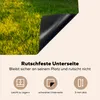 KitchenYeah© Herdabdeckplatte Die Sonne scheint durch die Produktbild-Vorschau 5