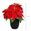 Weihnachtsstern 30 cm im schwarzen Topf - Poinsettia / Produktbild-Vorschau 2